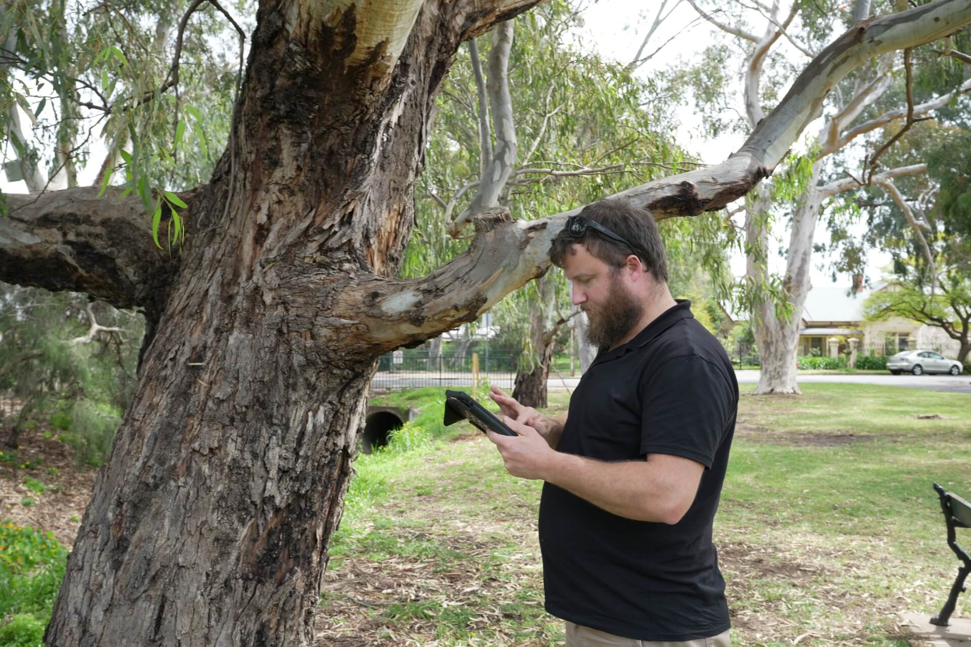 Treesenseconsulting - Chris Pate