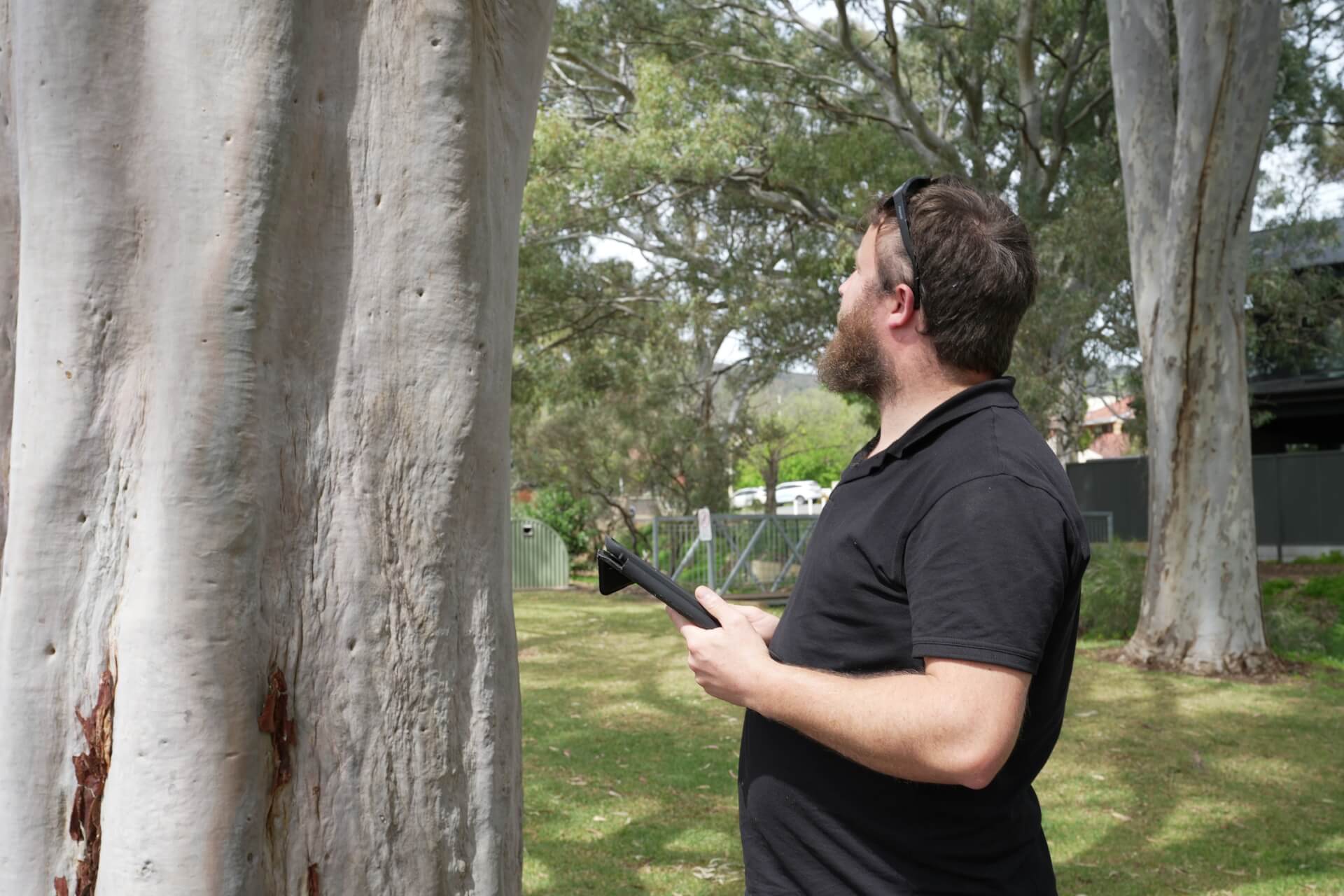 Treesenseconsulting - Chris Pate